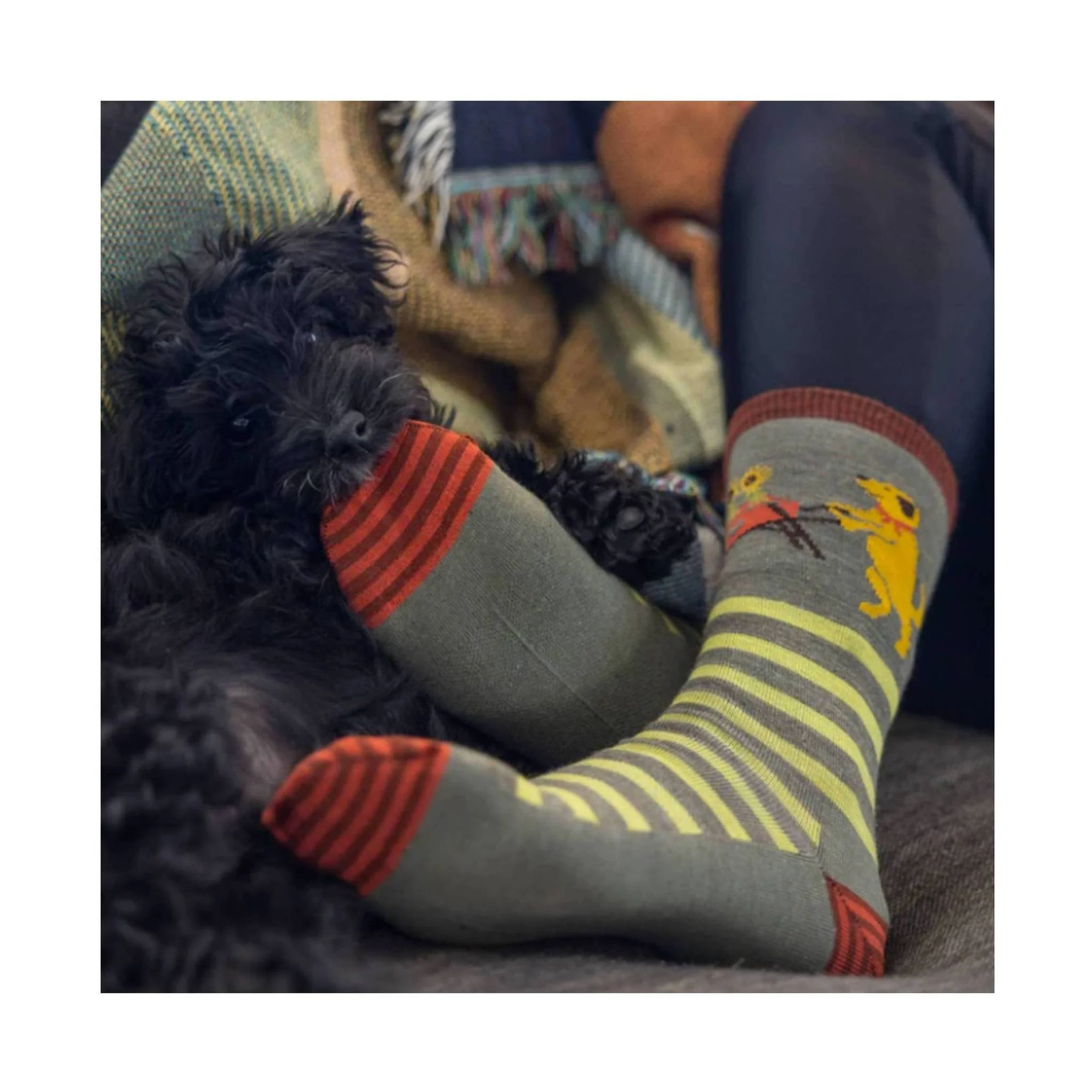 Darn Tough Vermont Women's Lightweight Lifestyle Animal Haus Crew - Herb - Image 5