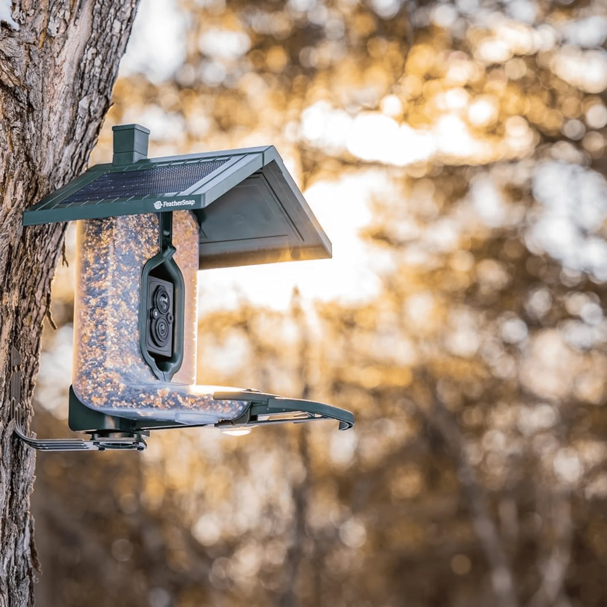 FeatherSnap Scout WiFi Solar Powered Smart Bird Feeder - Green - Image 3