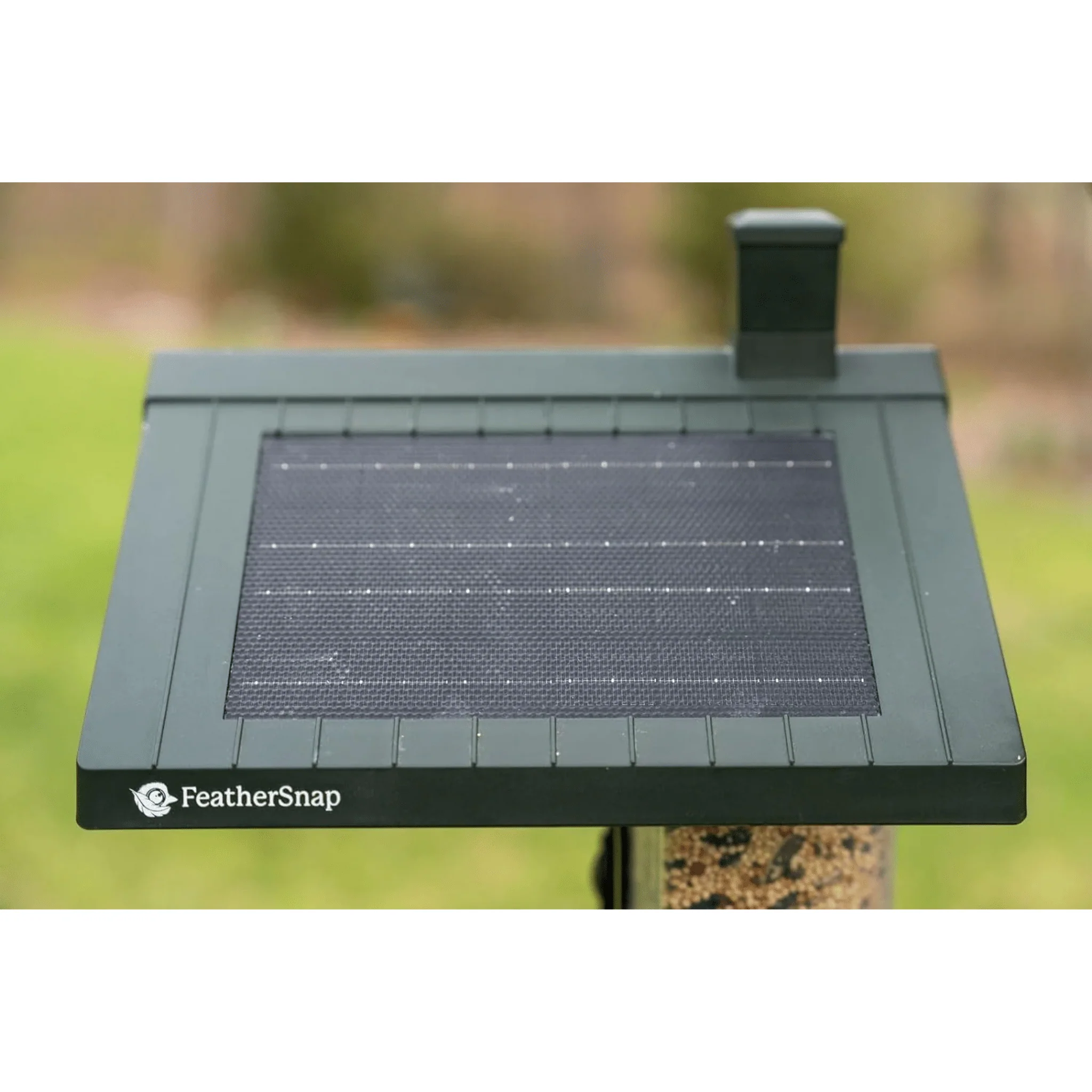 FeatherSnap Scout WiFi Solar Powered Smart Bird Feeder - Green - Image 5