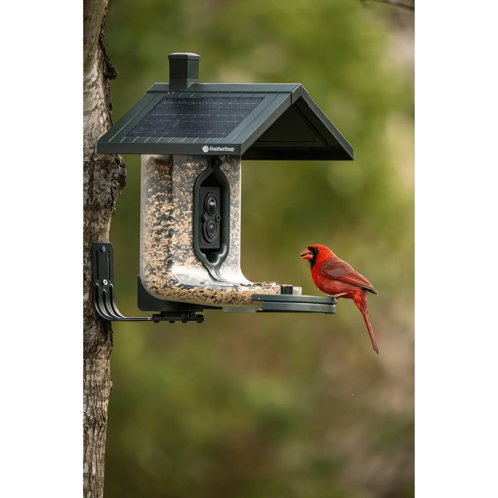 FeatherSnap Scout WiFi Solar Powered Smart Bird Feeder - Green - Image 6