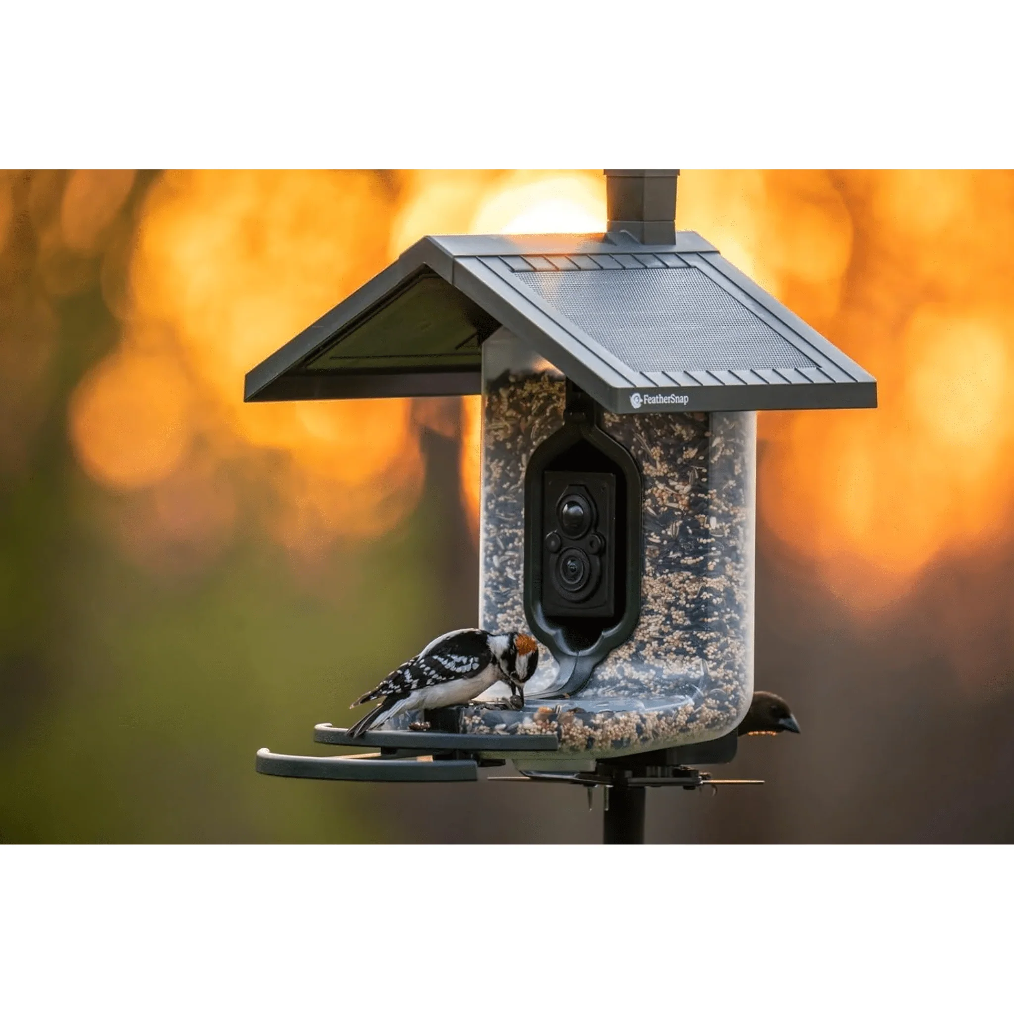 FeatherSnap Scout WiFi Solar Powered Smart Bird Feeder - Green - Image 8