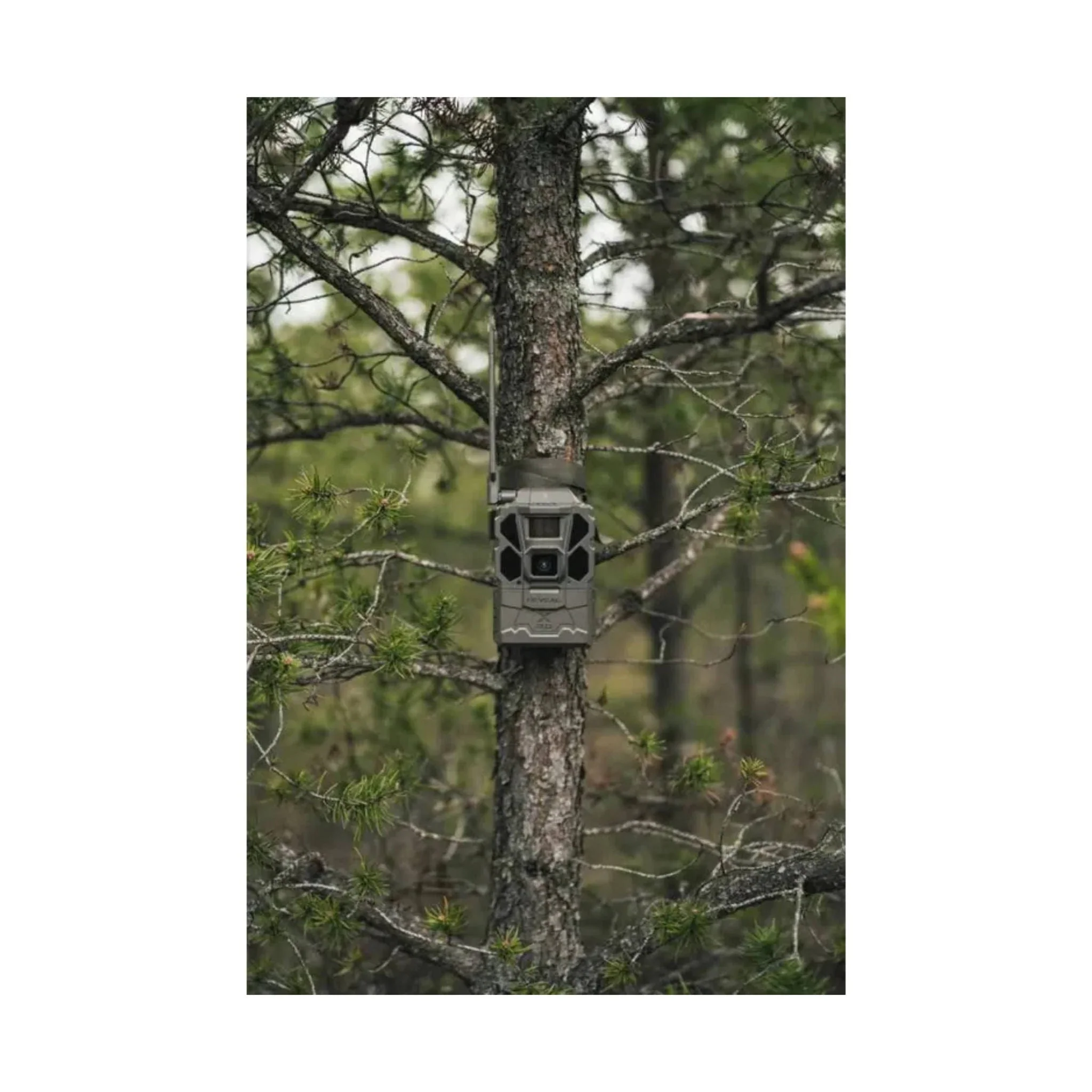 Tactacam Reveal X Gen 3 - Grey - Image 5